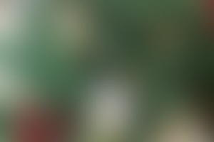 Фотография квеста Гринч - похититель Рождества от компании Интеллект (Фото 1)