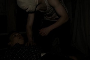 Фотография перформанса Питомец от компании Svet (Фото 1)