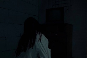 Фотография перформанса Незваные гости от компании Svet (Фото 1)