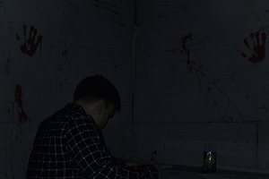 Фотография перформанса Незваные гости от компании Svet (Фото 2)