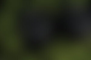 Фотография экшн-игры Пять жизней от компании Joyment (Фото 1)